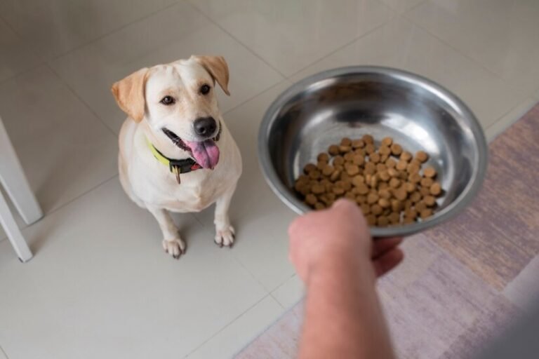 can dogs eat green peas